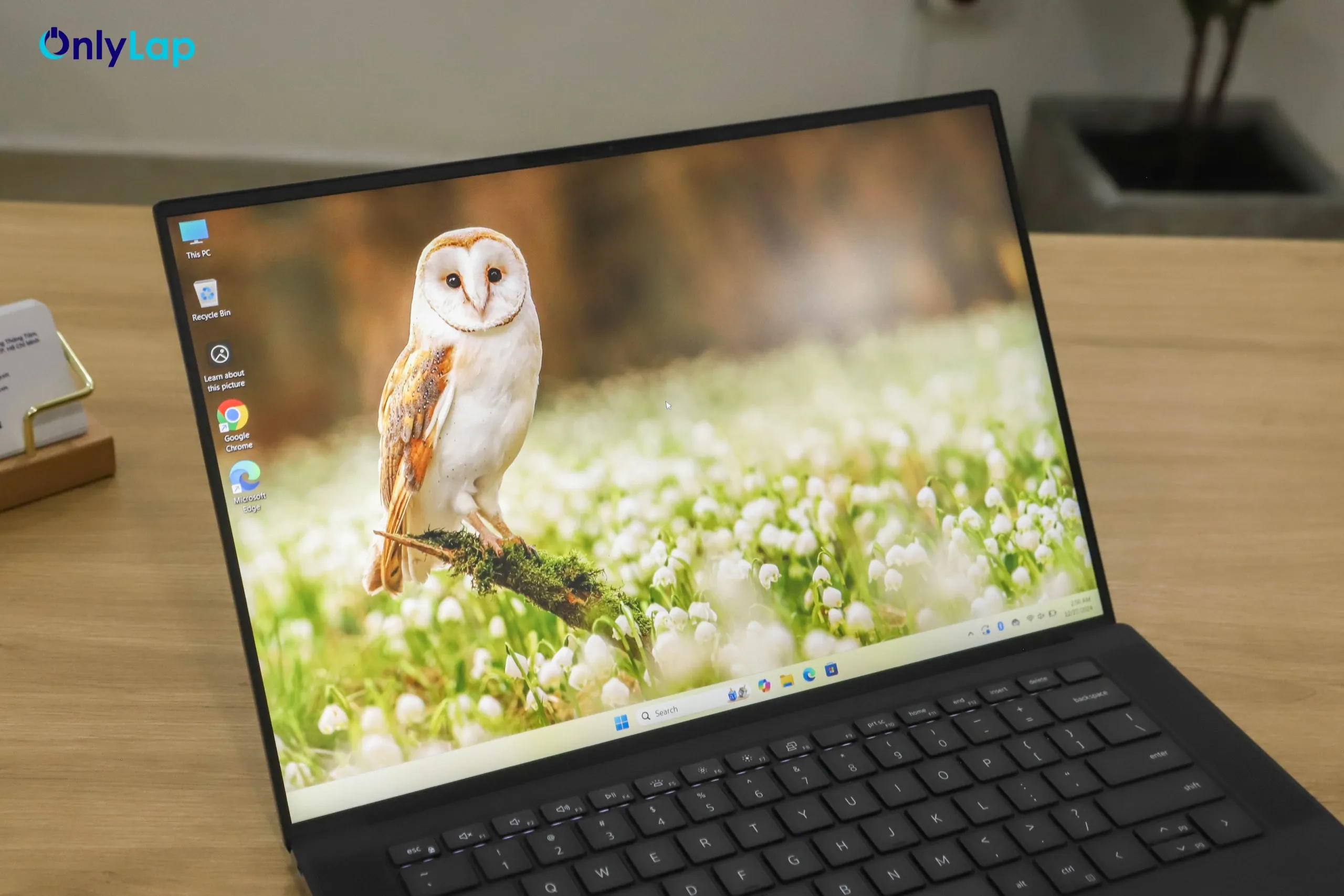 dell precision 5560 14