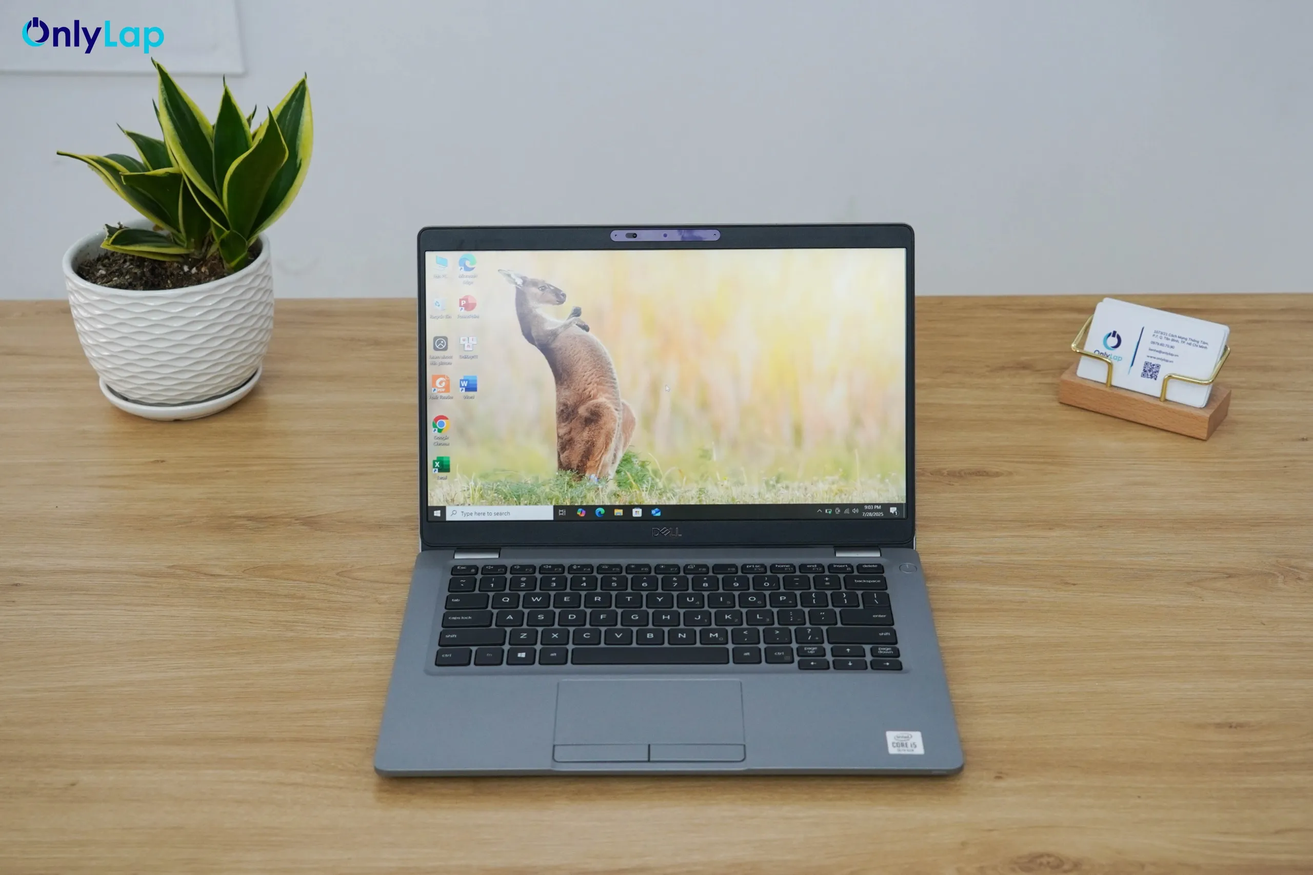 dell latitude 5310 10