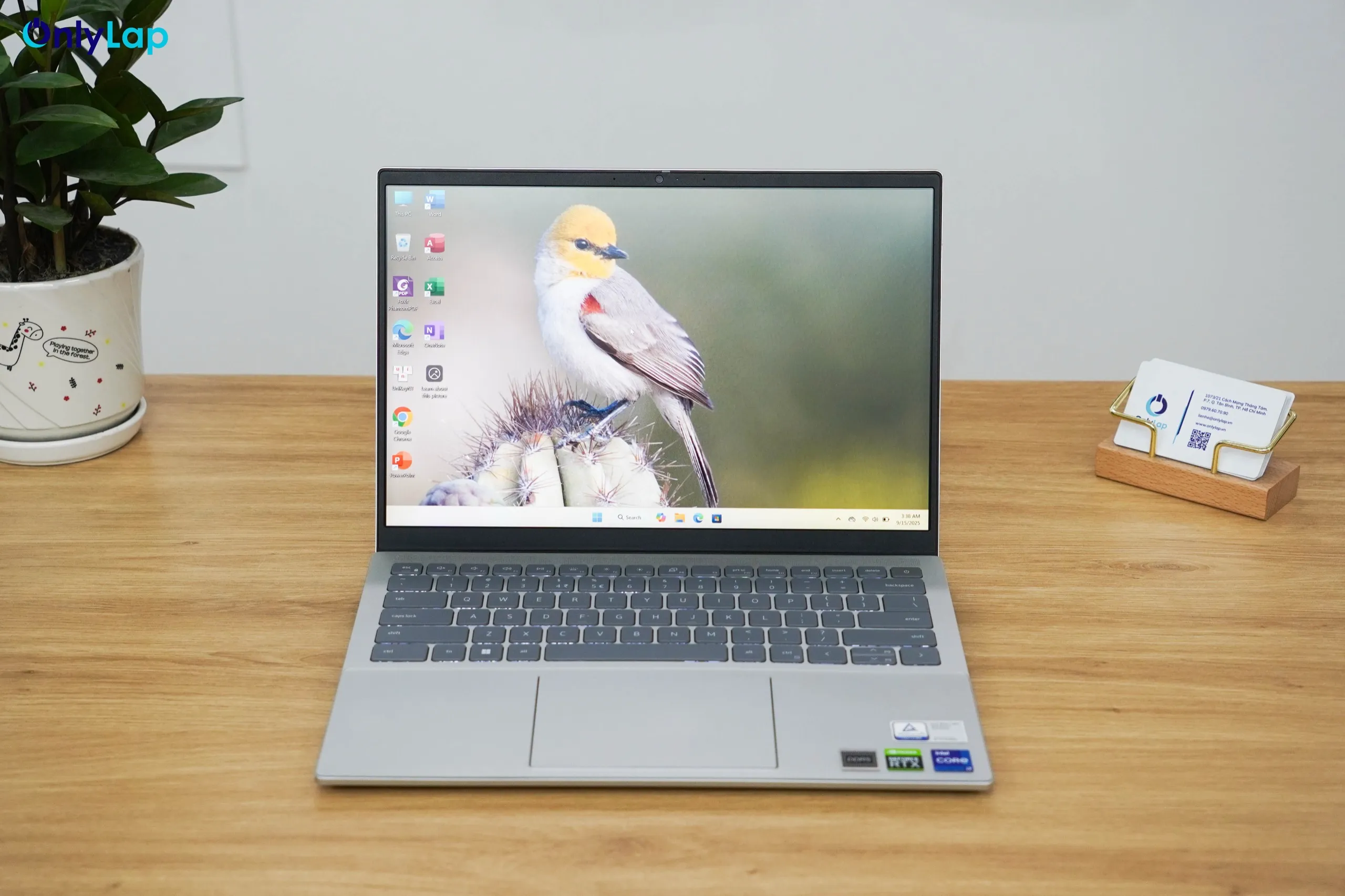 dell inspiron 14 7420 plus 11