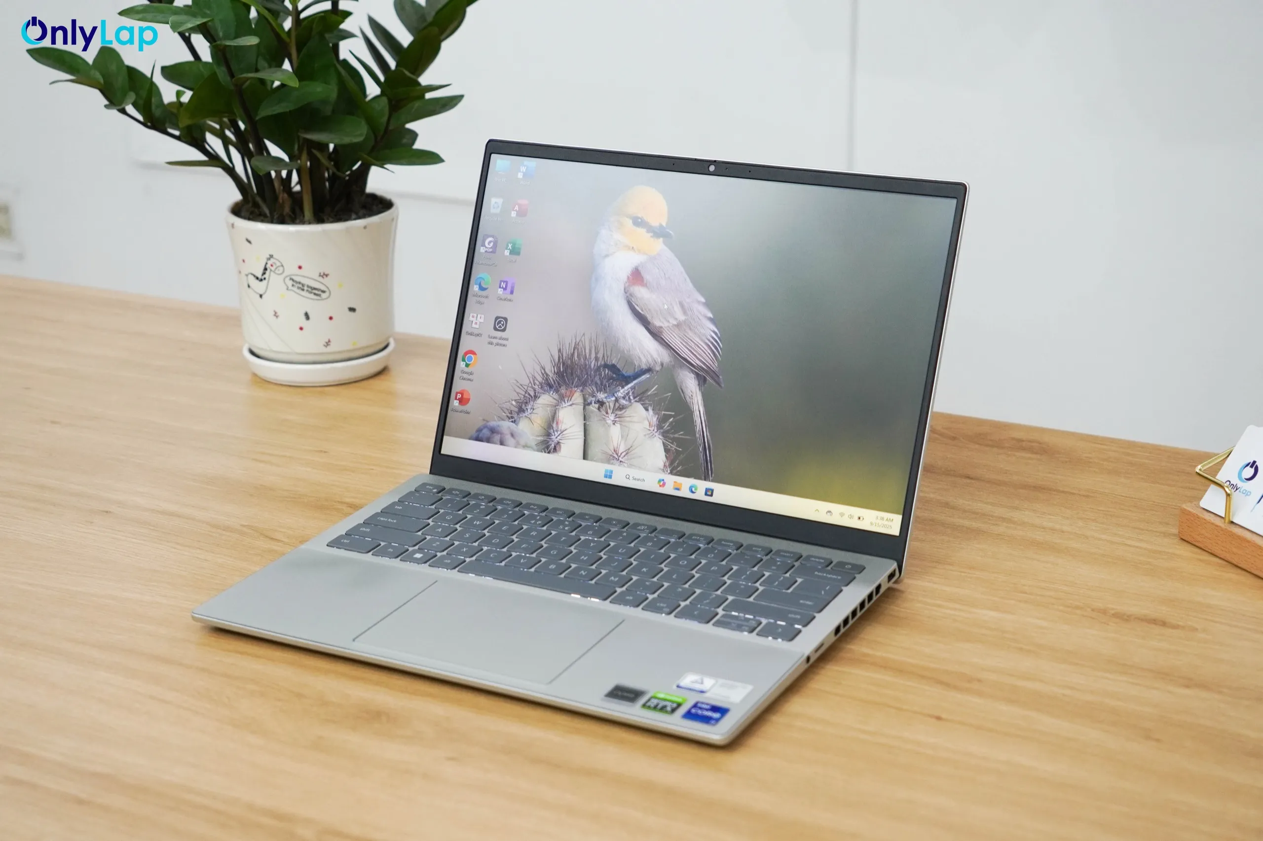dell inspiron 14 7420 plus 13