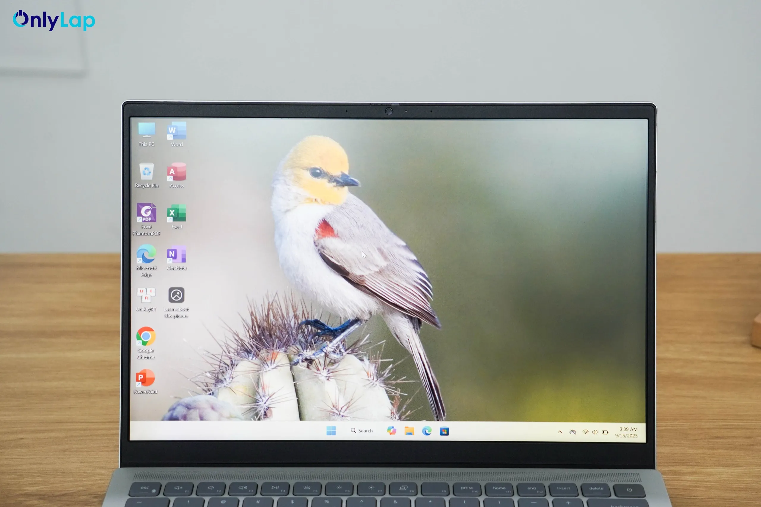 dell inspiron 14 7420 plus 22