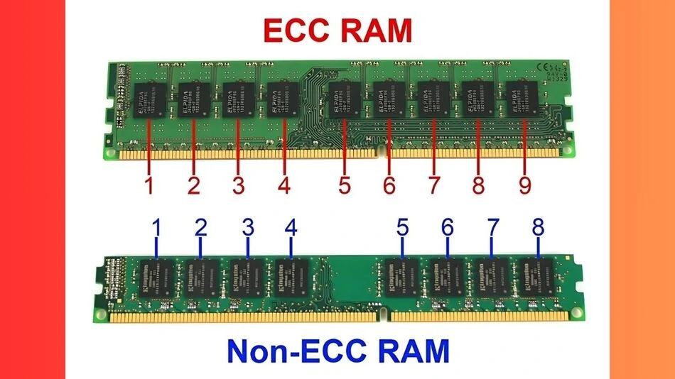 phan-biet-ram-ecc-va-ram-thuong